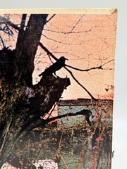 Black Sabbath – Self Titled Debut – LP Album Vinyl Vintage WS 1871