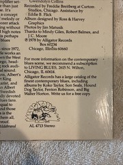 Albert Collins – Ice Pickin’ vinyl 1978 AL4713 Alligator green label Texas Blues