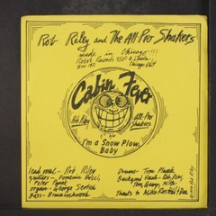 ROB RILEY: cabin fever / i’m a snow plow baby REBOB 7″ Single 45 RPM