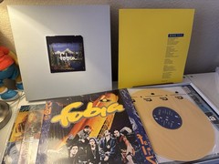 Fobia – Box Set 6 x LP & Sencillo (VG+ – EX, 2017 MX, Leche Destruye Rosa Mundo)