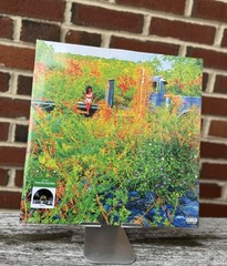 🌀Jhene Aiko Picture Disc – Trip 2LP Limited /2000 Record Store Day RSD – RARE🌀