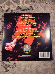 The Mighty Mighty Bosstones – More Noise and Other Disturbances Vinyl Record