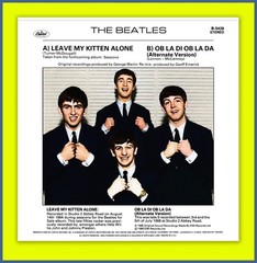 The Beatles Leave My Kitten Alone 45 Pic Sleeve – Vinyl Not Included
