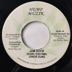 Junior Gong Damian Marley Jam Rock Sleng Teng Reggae 7″ Vinyl Record