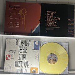 Hippo Campus vinyls x3