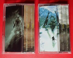 Skyrim cassette soundtrack, not video game vinyl Fallout