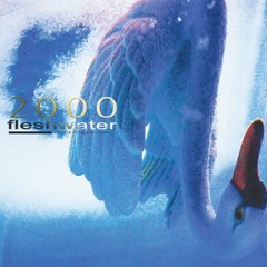 Fleshwater 2000: In Search of the Endless Sky (Vinyl) (UK IMPORT)