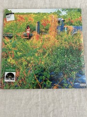 JHENE AIKO Trip USA 2LP Picture Disc Vinyl RSD 2026 Record Store Day