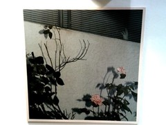 Soft Kill – Savior (Pink Vinyl LP) – Limited Only 200 Made Indie Rock Post-Punk
