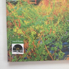 JHENE AIKO Trip SEALED limited edition 2LP Picture Disc RSD