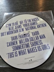 Lana Del Rey Born to Die Picture Disc Vinyl LP RSD 2013 US Edition