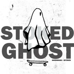 JON SNODGRASS & BUDDIES: STOKED GHOST – LP vinyl *BRAND NEW*