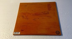 Basement – Colourmeinkindness – Orange blob Color Vinyl Record NM/NM