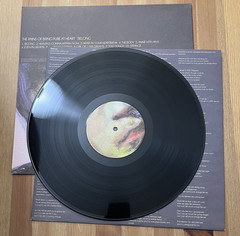 The Pains Of Being Pure At Heart: Belong 2011 1st pressing LP Indie, Dreampop