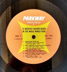 12 GREATEST GOLDEN OLDIES IN THE WHOLE WORLD EVER! Various 1960 Doo Wop R&R SEE!