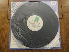 Whitstein Brothers – Trouble Ain’t Nothin’ But The Blues – 1987 Vinyl LP EX/VG
