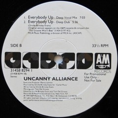 LOT sale of 12 Assorted 12 inch Singles EURO HOUSE 1990s 12HOUSE20 FREE SHIP