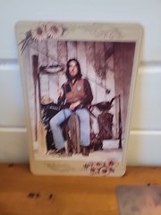 1972 Three Dog Night Seven Separate Fools Oversized Set of 7 Cards Album Insert