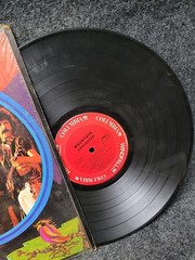 Vintage Mountain Avalanche 12″ Black Vinyl LP 1974 Windfall Rock Hard Rock Album