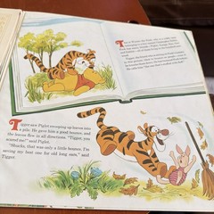 Walt Disney Presents Winnie the Pooh and Tigger Too LP Record 1974 Disneyland