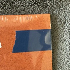 Record Store Day 2025 Wallows More EP Vinyl