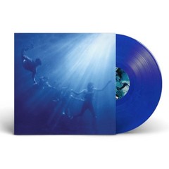 Foals – Total Life Forever (LP) (Mint (M)) – 4217718105