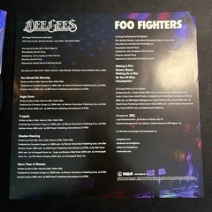 Dee Gees (Foo Fighters) – Hail Satin Vinyl Record – RSD 2021