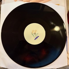 Miniature Tigers I Dreamt I was Cowboy Vinyl – Used