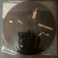 Grey Daze Amends Picture Disc Vinyl LP Multicolor Plastic Slipcover