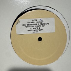 Q-Tip / LL Cool J / Eightball & Mysonne – Vivrant Thing 12” Promo