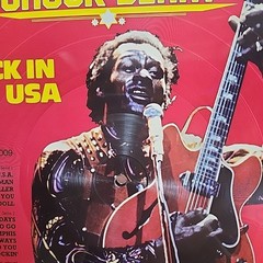 Framed Chuck Berry Back In The USA Vinyl LP Picture Disc 12×12 Wall Art Display
