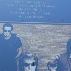 Bon Jovi “Greatest Hits” Limited Edition Tiger Eye LP 10 HITS 2024 New