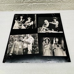 Spider Baby Soundtrack OST Ronald Stein • 12″x 12″ Booklet & Art Insert ONLY‼