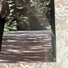 Wayne Newton “The Long and Winding Road” ST-474 Record/LP/Vinyl