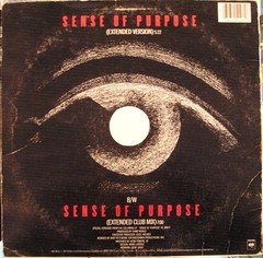 Third World – Sense Of Purpose (12″, Single) (Very Good Plus (VG+))