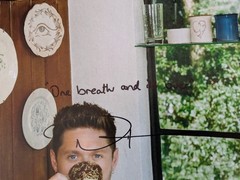 ✍️ Signed ✍️ NIALL HORAN DINNER PARTY Autographed on Sleeve with Lyric Olive LP