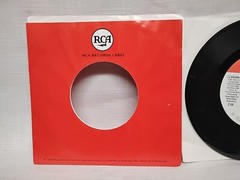 Aaron Tippin Everything I Own 45 RPM RCA Records Label 64544-7 1996