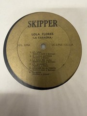 Latin Pop Rock Record Lot (12)