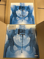 New Lorde Virgin X-Ray Picture Disc Gatefold Vinyl LP w/ Signed Insert Sealed