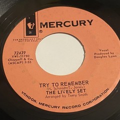 The Lively Set: Dippity-Do / Try To Remember 45 – Mercury – Garage Pop