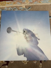 Geese – Getting Killed Clear Vinyl LP Record
