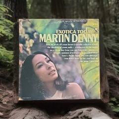 Exotica Today Martin Denny EXCELLENT (EX) Vinyl LP Record 1966