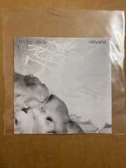 Nirvana Moby Dick 5.5″ Flexi. See Description Buy more & save