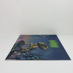 Blood Incantation – Hidden History Of The Human Race GMVC Vinyl LP +Poster USED