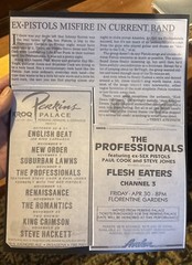 The Professionals Live in Berkeley, California 1982 Sex Pistols