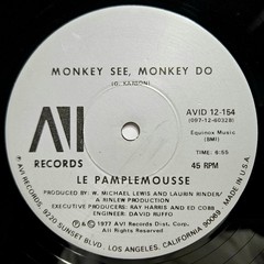 BOOGIE / DISCO-FUNK – LE PAMPLEMOUSSE – LE SPANK – AVI RECORDS ORIGINAL PRESSING