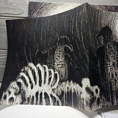 Vultures at Dawn by Funeral Pyre (Record, 2011)