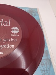 Siddal – Frozen Garden 7 inch 33 1/3 RPM – Bedazzled Records – Radio Promo Copy