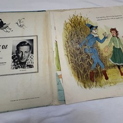 Vintage 1965 Disney The Scarecrow of Oz Ray Bolger LP Story Book ST-3930 VG