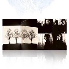 AFI – Decemberunderground IVC Edition Bone Color Vinyl 2LP – In Hand Ships Now ✅
